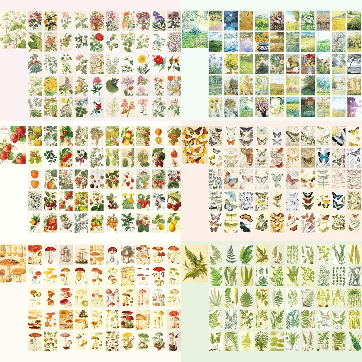 9 Sets 450 Sheets Washi Stickers for Journaling, Plants Fruit Flowers Butterfly Shell Boho Stickers