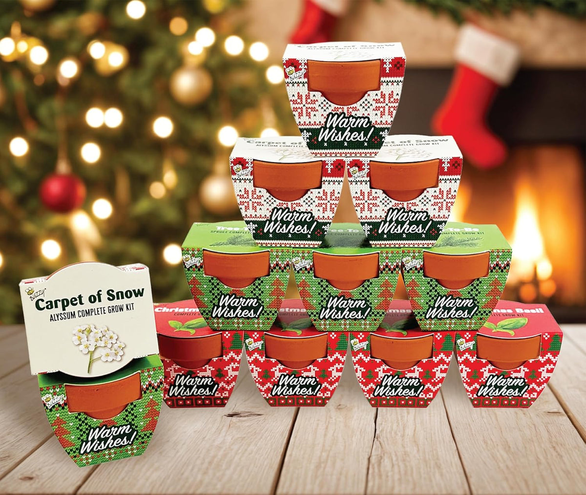 BUZZY Seeds Holiday Mini Terracotta Pots Grow Kit, 12-Pack Assorted Christmas Basil, Spruce, and