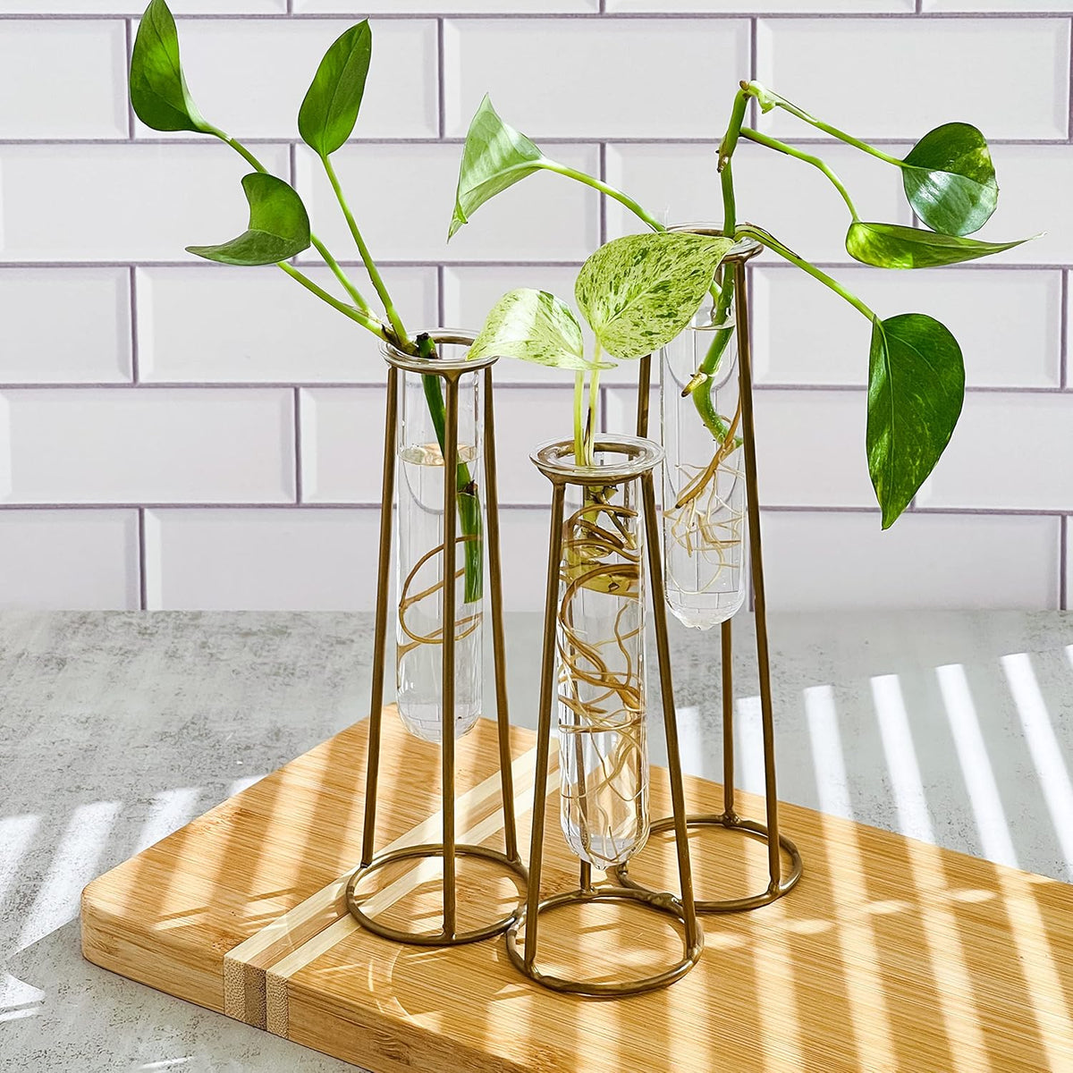 Propagation Station Terrariums with Gold Metal Stand - Kate Aspen 3 Glass Test Tube Planters for
