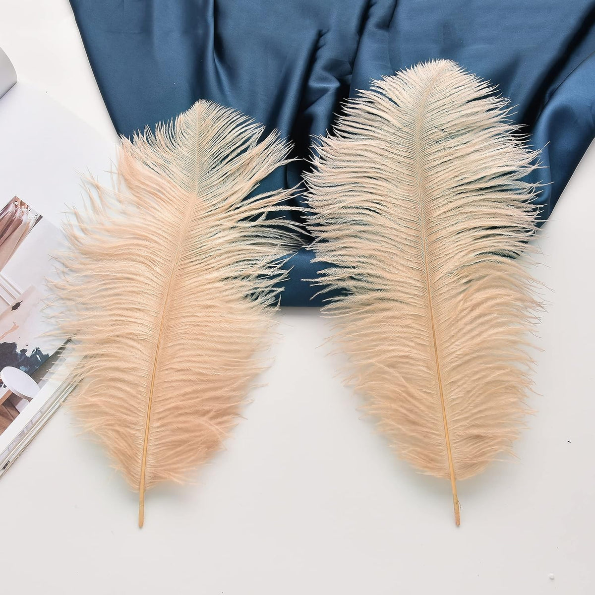 Ballinger Large Champagne Ostrich Feathers - 24pcs 8-10inch Boho Feathers for vase and Home Decor