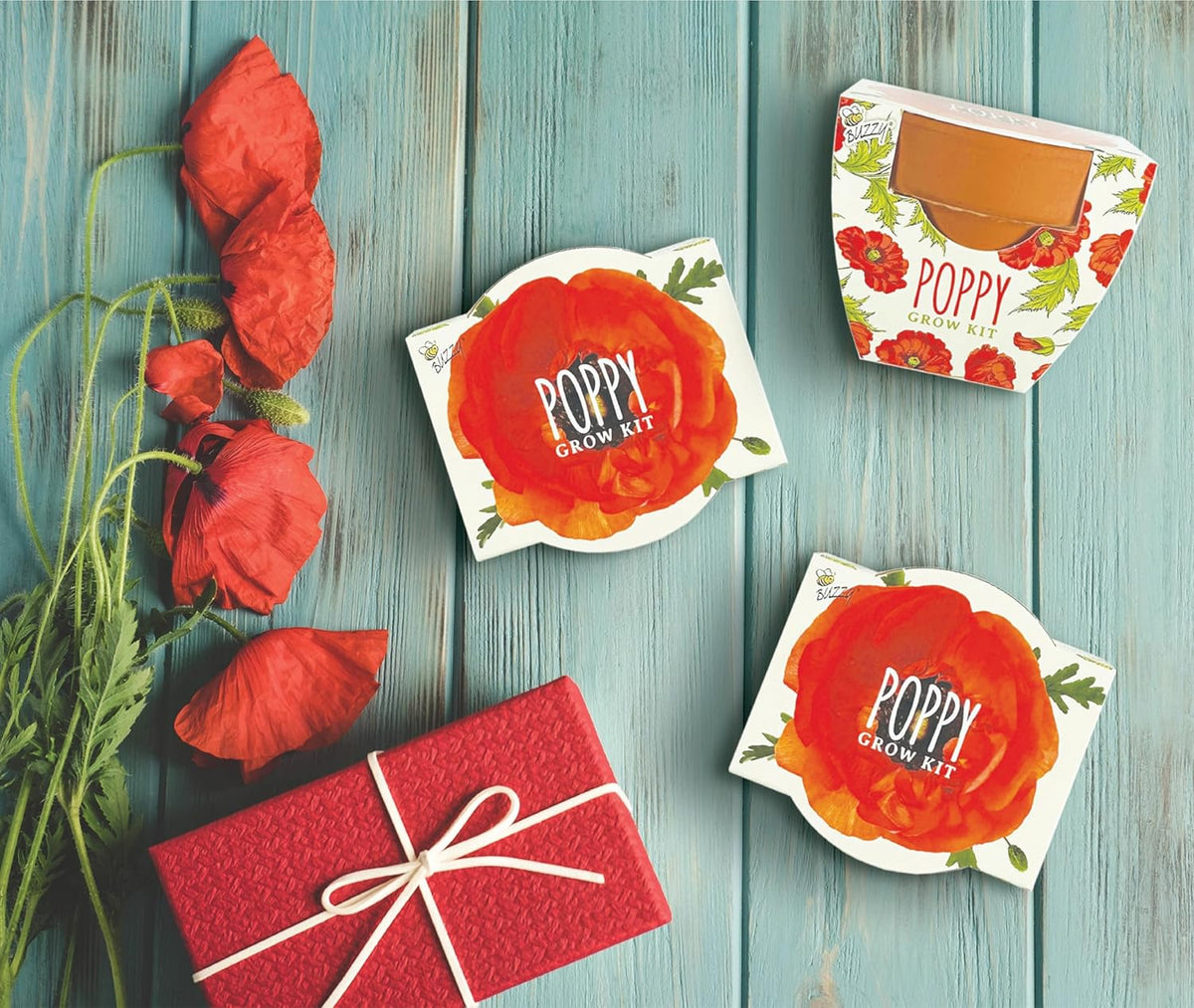BUZZY Seeds 12-Pack Poppy Grow Kit – Mini Terracotta Pots with Poppy Seeds and Growing Medium