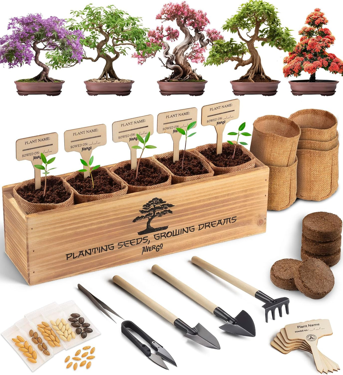 AVERGO Bonsai Tree Kit for Beginners – 5X Unique Japanese Bonzai Trees | Complete Indoor Starter