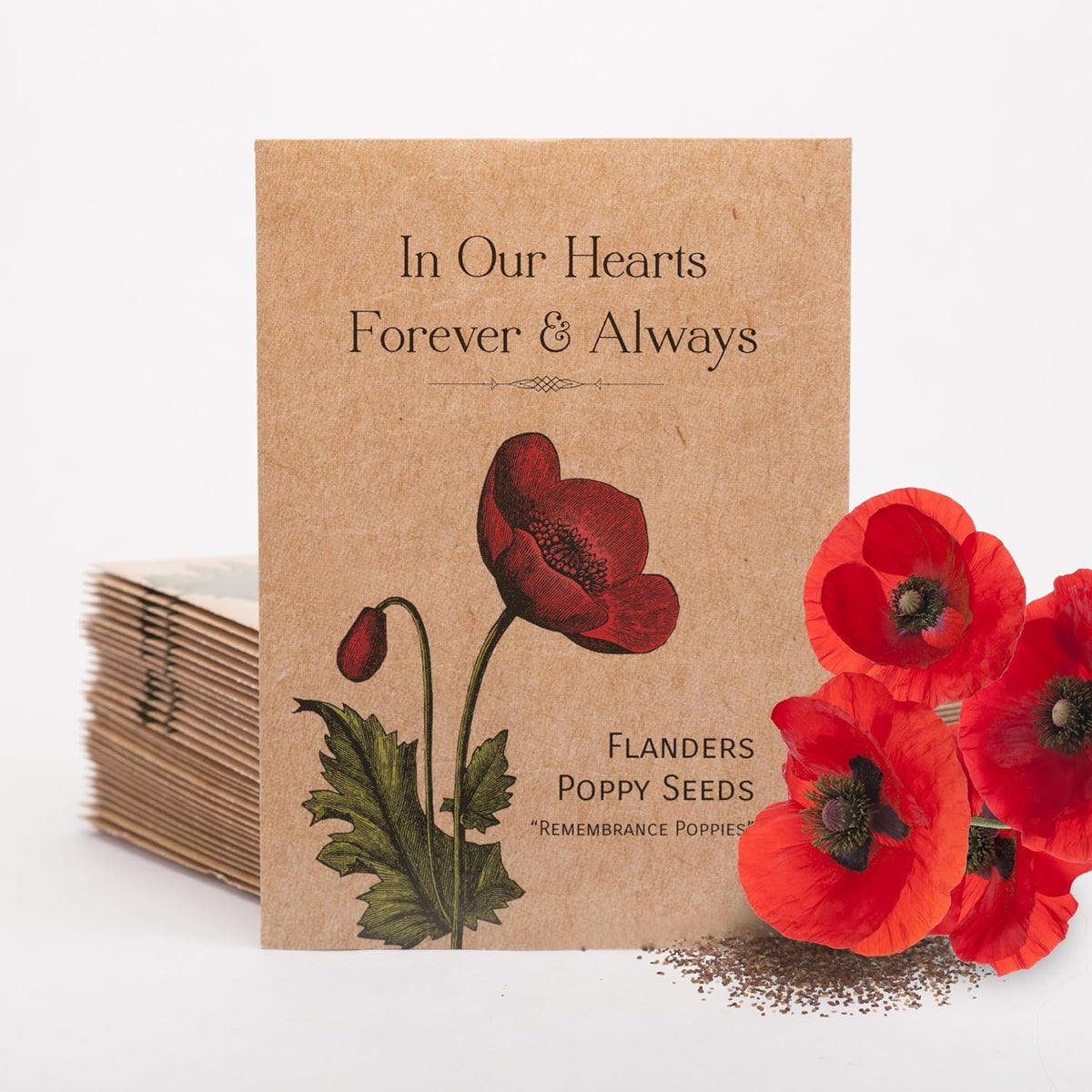 Bentley Seed Co. | Celebration of Life Funeral Favors for Guests | Non-GMO, Non-Coated Flanders