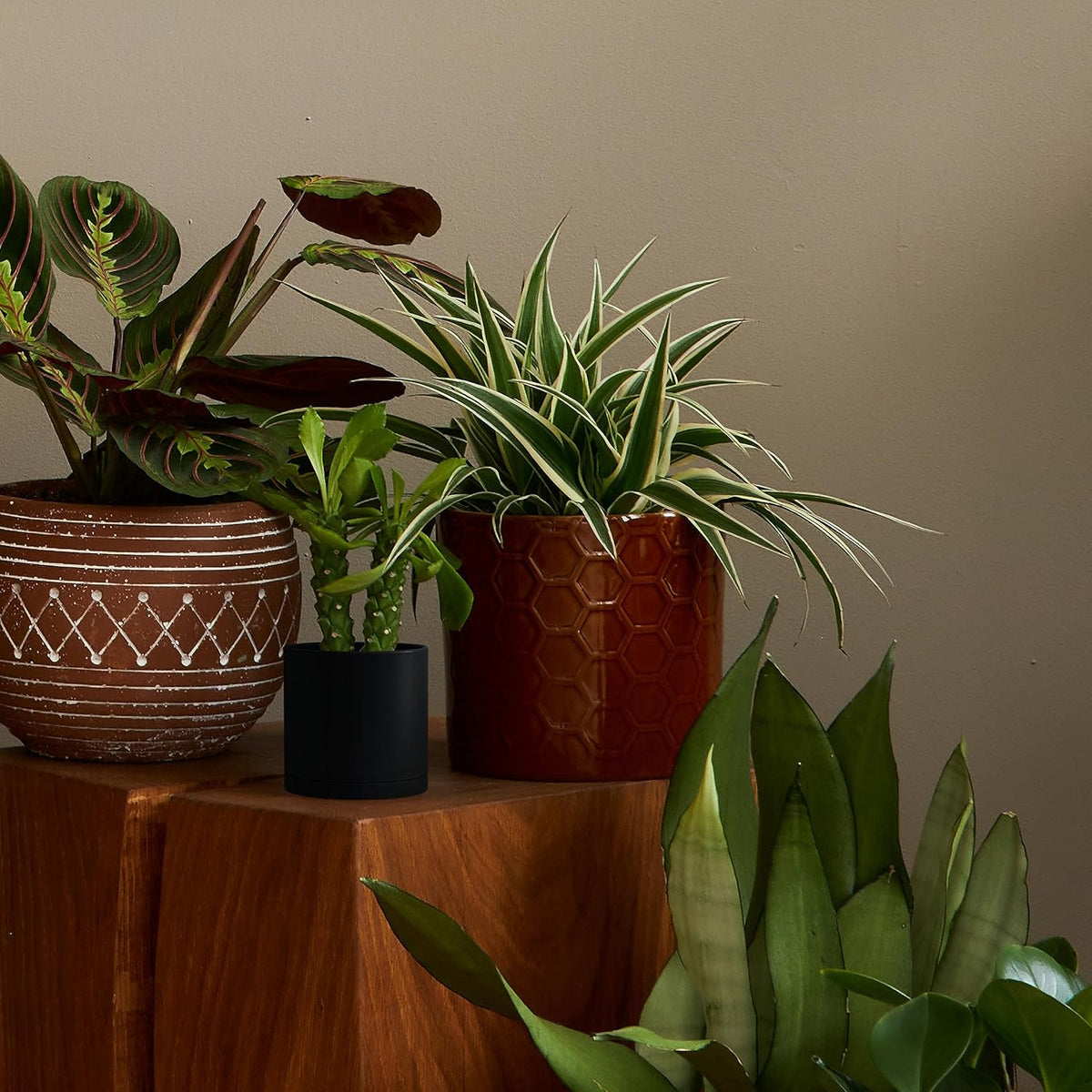 D'vine Dev 4 Pack 4.5 Inch Modern Plastic Plant Pots, Small Garden Planters for Plant with Drainage