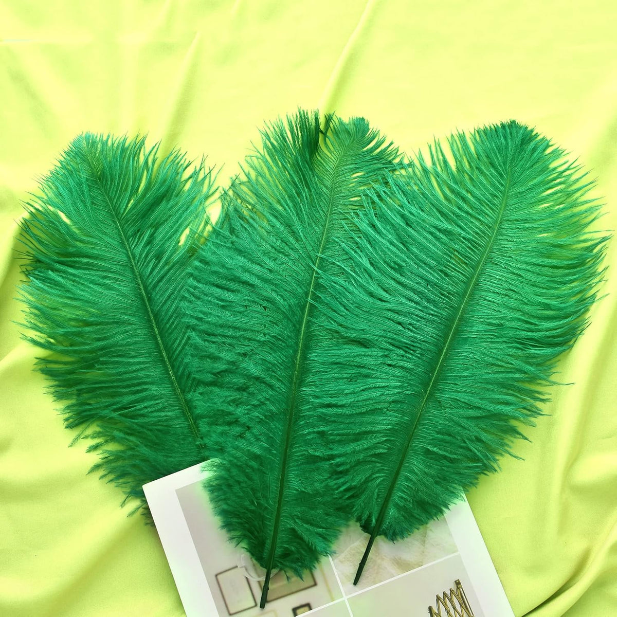 Ballinger Green Ostrich Feathers Bulk - 24pcs 10-12inch Feathers for Vase, Wedding Party