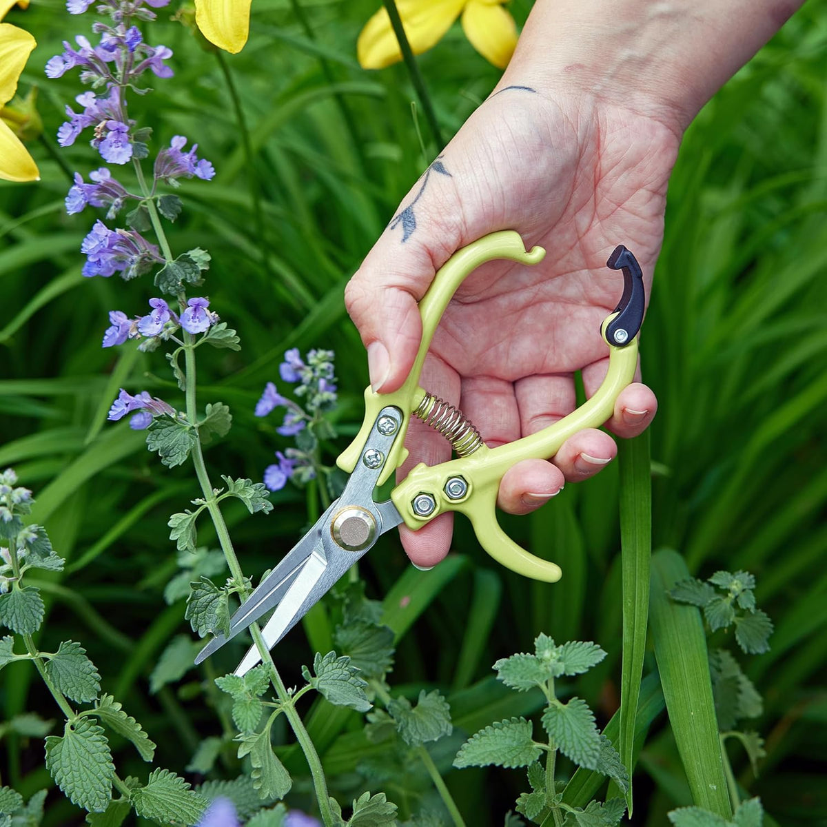 Modern Sprout Pruning Shears - Herb Snipping Scissors- Lightweight Gardening Tools W/Easy Lock