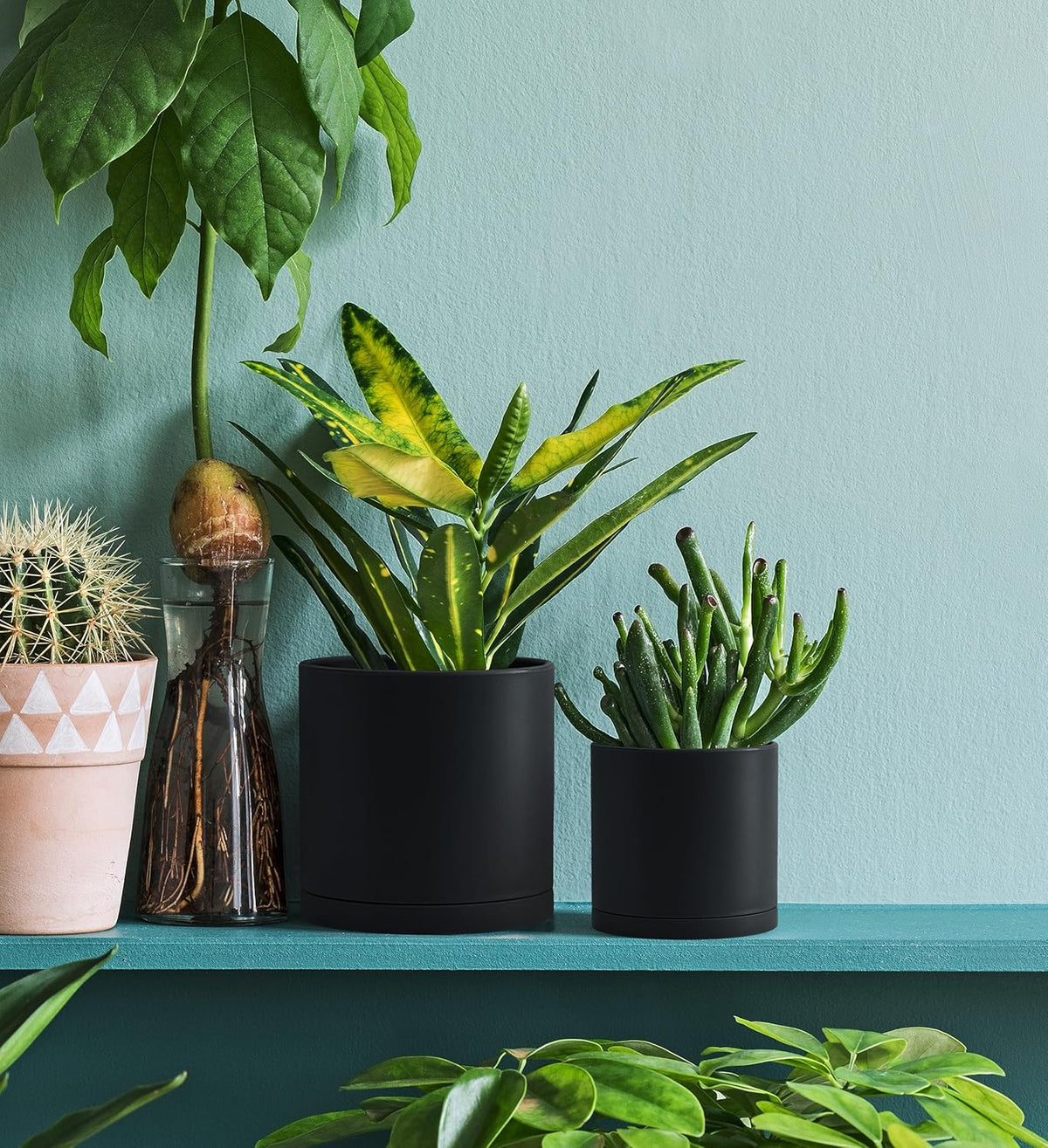 D'vine Dev 2 Pack 4.5 Inch Modern Plastic Plant Pots, Small Garden Planters for Plant with Drainage