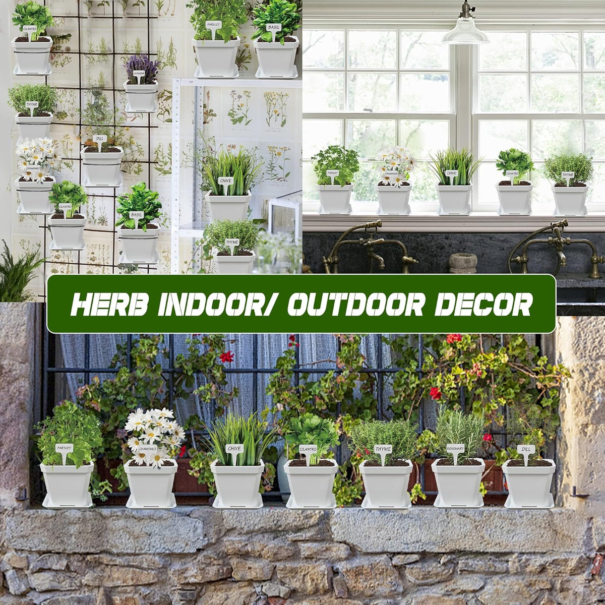 10 Herb Seeds Garden Starter Grow Kit with White Pots, Markers, Nutritional Soil, Watering, Herb
