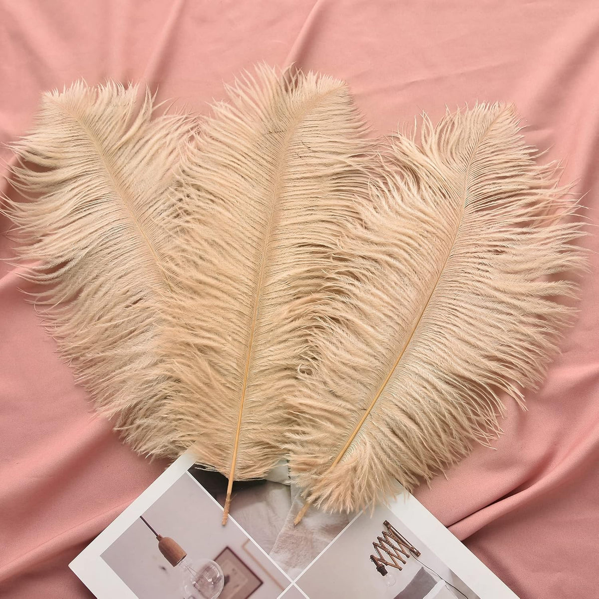 Ballinger Large Champagne Ostrich Feathers - 24pcs 12-14inch Boho Feathers for Vase and Home Decor