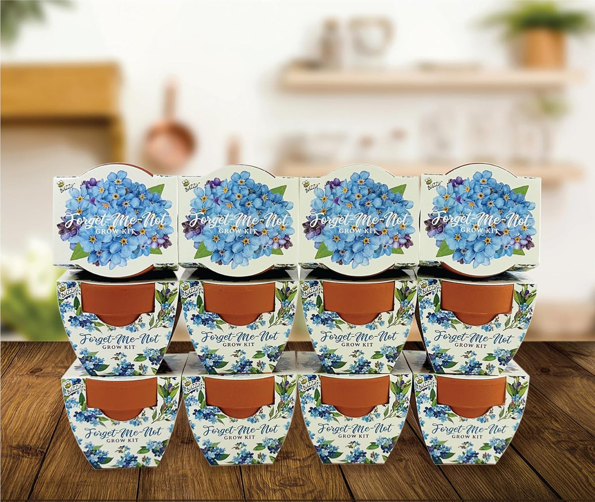 BUZZY Seeds Mini Terracotta Pots 12-Pack Daydream Forget-Me-Not Flowers, All-in-One Seed Starter