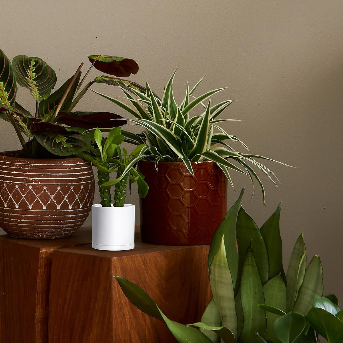D'vine Dev 6 Pack 4.5 Inch Modern Plastic Plant Pots, Small Garden Planters for Plant with Drainage
