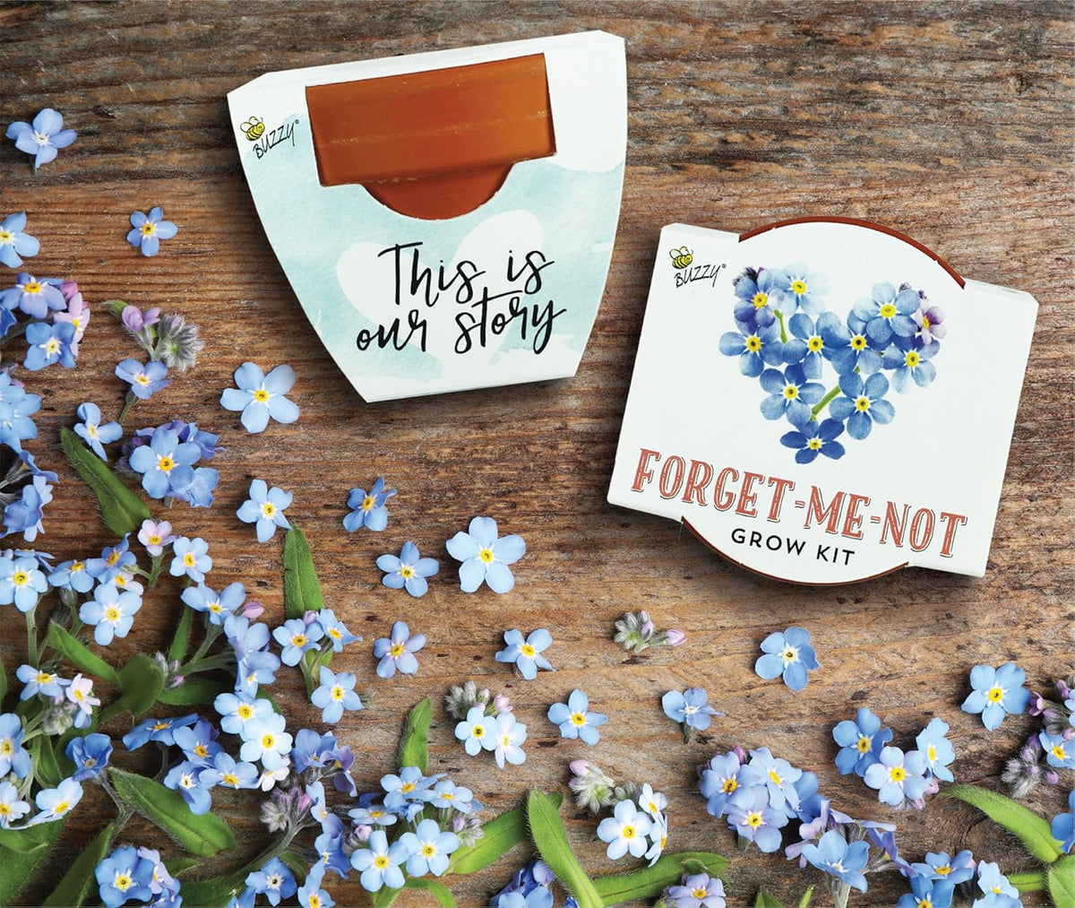 BUZZY Seeds Forget-Me-Not Terracotta Mini Grow Pots Love Collection, 12-Pack All-in-One Gardening