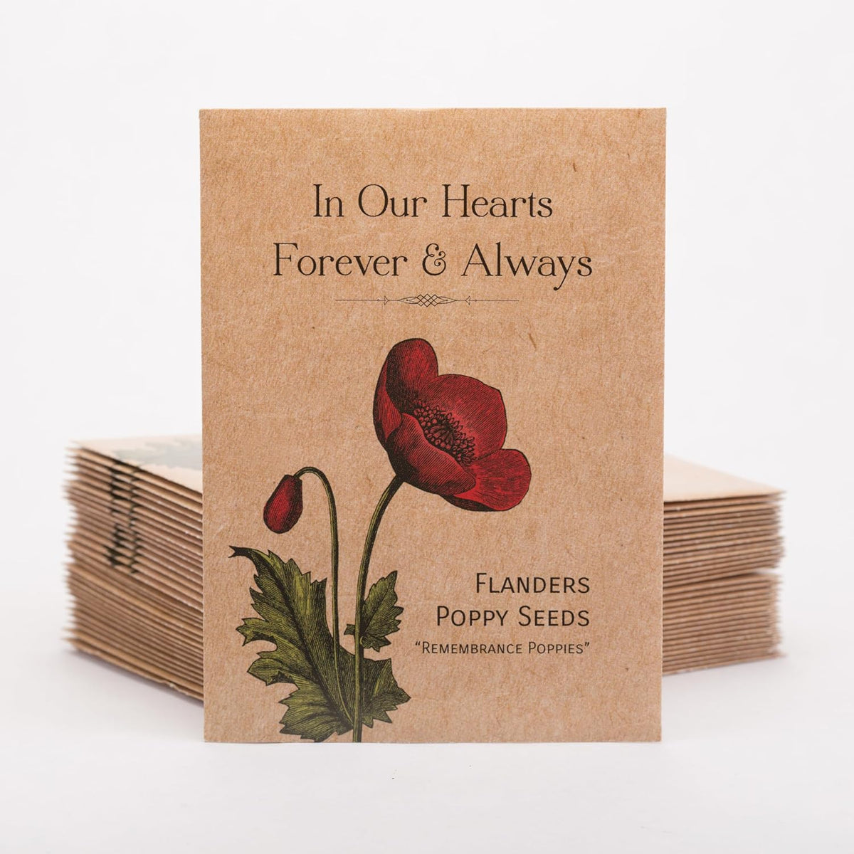 Bentley Seed Co. | Celebration of Life Funeral Favors for Guests | Non-GMO, Non-Coated Flanders
