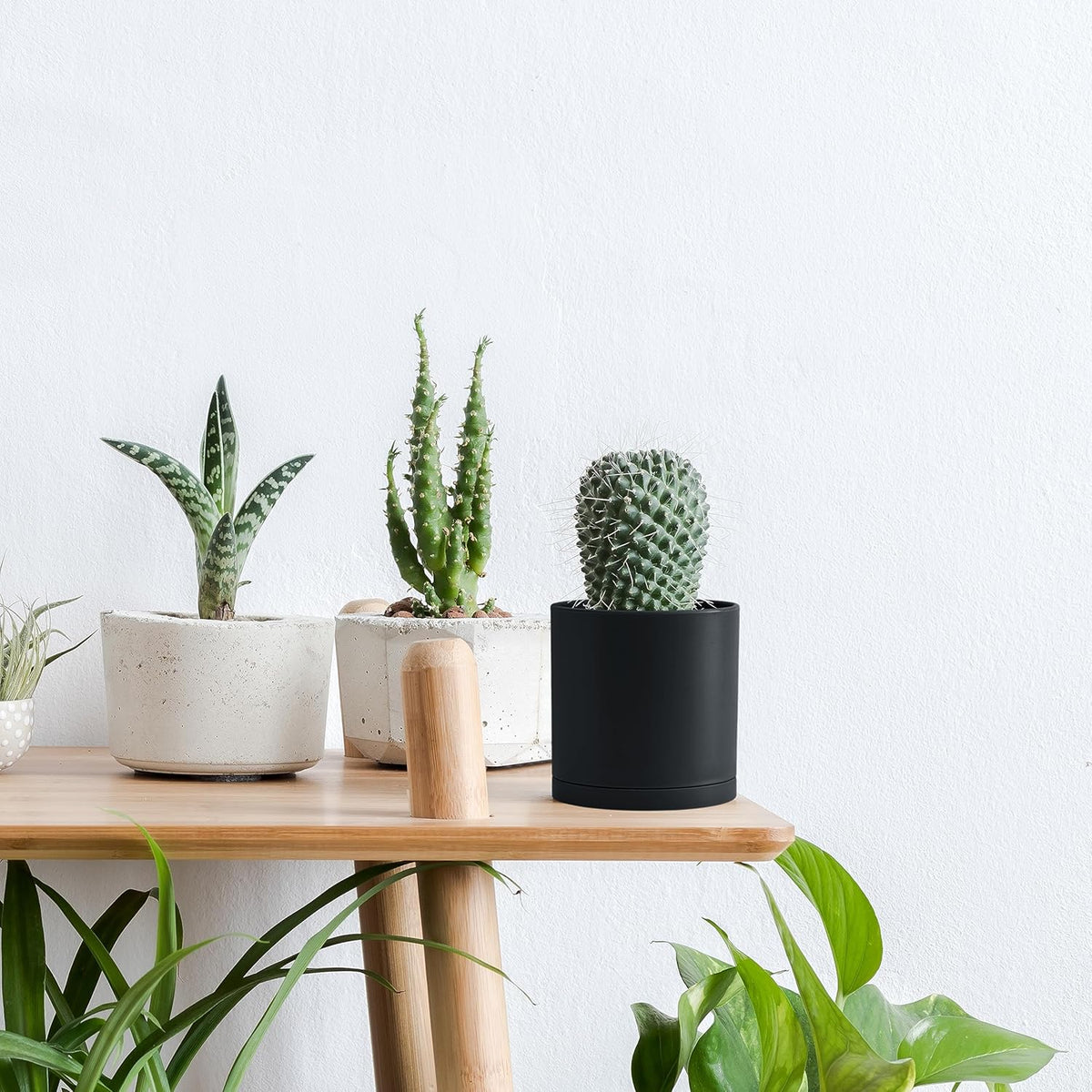 D'vine Dev 2 Pack 4 Inch Modern Plastic Plant Pots, Small Garden Planters for Plant with Drainage