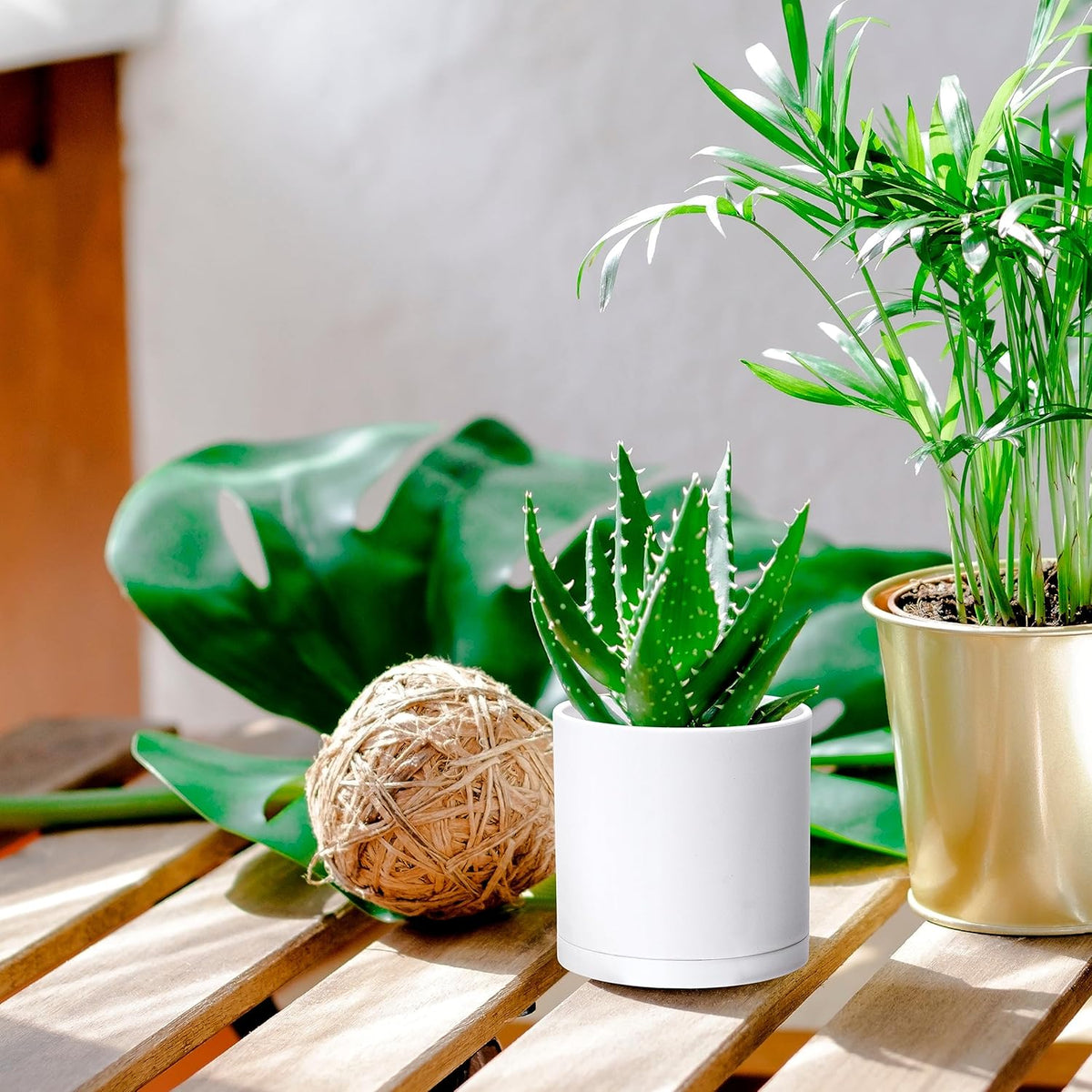D'vine Dev 4 Pack 4.5 Inch Modern Plastic Plant Pots, Small Garden Planters for Plant with Drainage