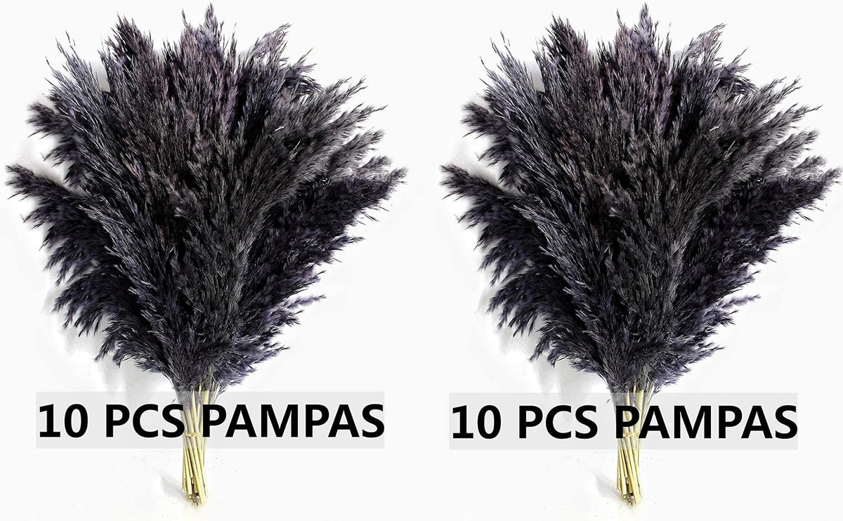 Black Pampas Grass for Home Decor - Elegant Boho Decor - Premium Quality Pampas Grass Stems