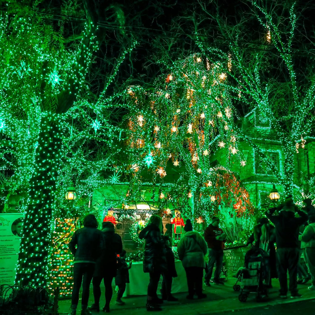Dazzle Bright Fairy Lights Battery Operated, 20 FT 60 LED Silver Wire St. Patrick's Day Waterproof