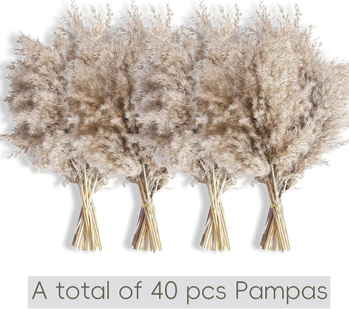 40 PCS Nature Pampas Grass Bouquet Decor - Boho Flowers and Feathers for Centerpieces, Perfect for