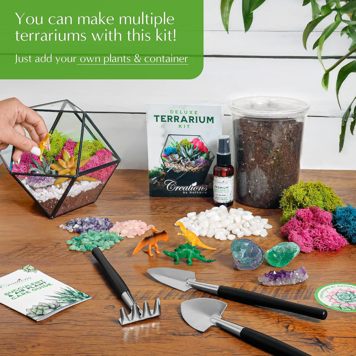 – DIY Large Terrarium Starter Kit with Soil, Moss, Pebbles, Healing Crystal, Tools & Supplies