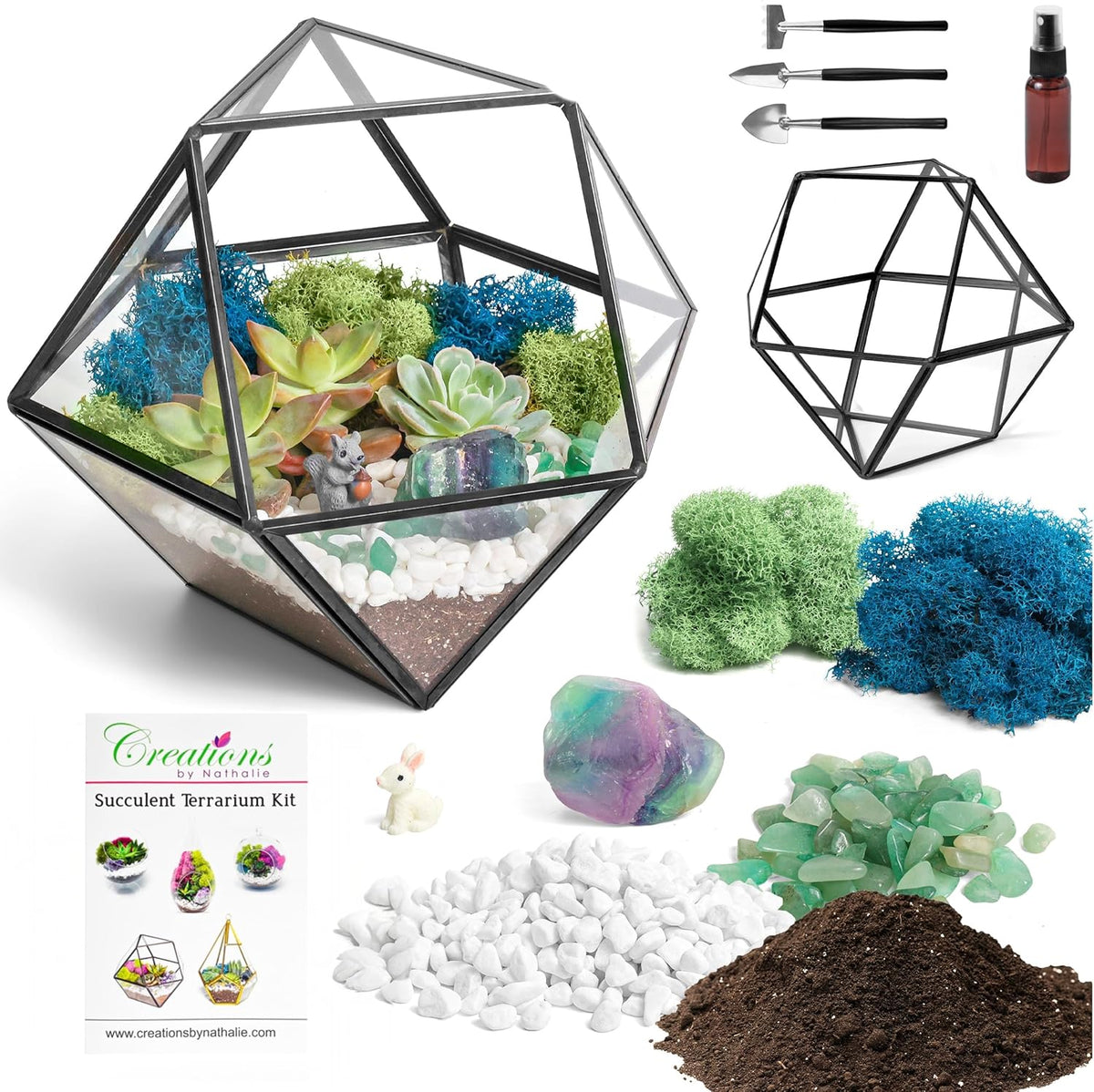 DIY 7" Geometric Terrarium Kit - Build Your Own Glass Terrarium for Adults & Kids with Moss