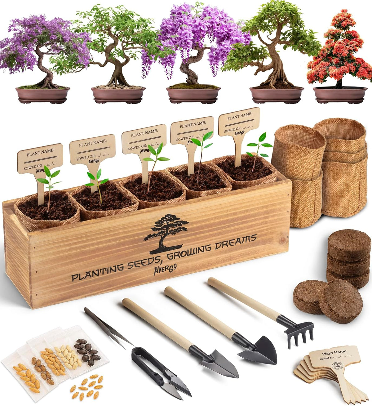 AVERGO Bonsai Tree Kit for Beginners – 5X Unique Japanese Bonzai Trees | Complete Indoor Starter