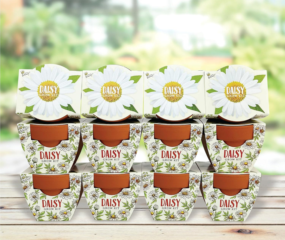 BUZZY Seeds Daydream Mini Terracotta Pots 12-Pack with Daisy Seed Packets – All-in-One Starter Set