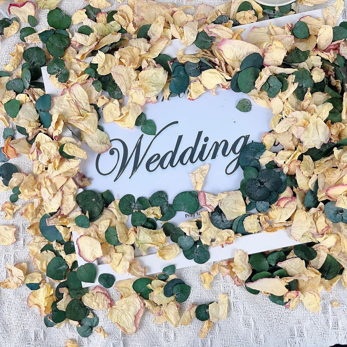 Oning 20+ Cups of Mix Dried Bio Flower Rose Petals Confetti, 2 QT Ivory White Roses & Eucalyptus
